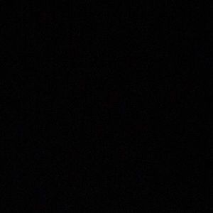 Meet your Posher, Xavier